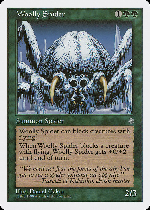 Araignée laineuse|Woolly Spider