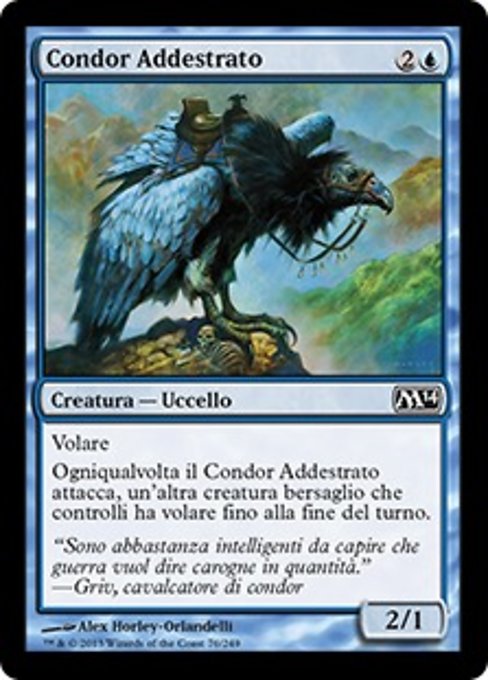 Condor Addestrato