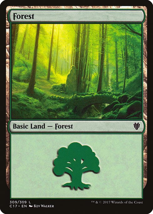 Forest (C17)