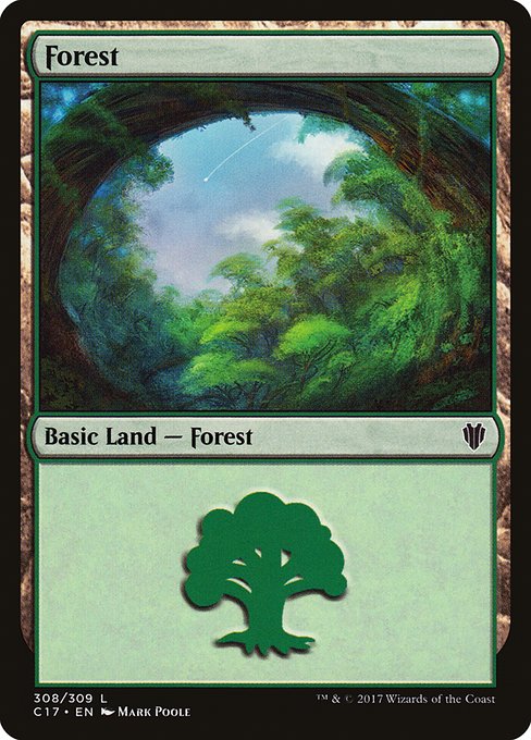 Forest (C17)
