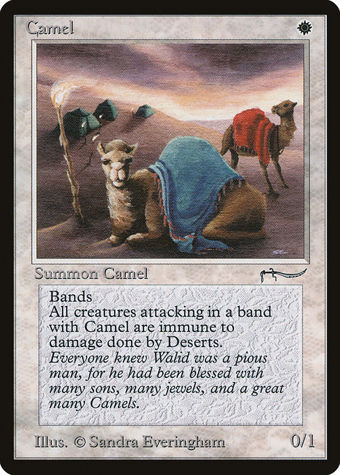 Camel (arn) 3