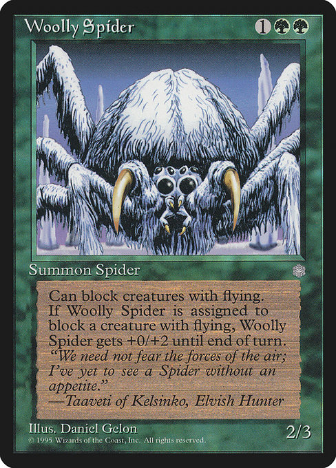 Woolly Spider