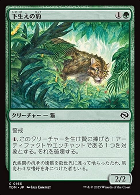 ITTI (イッチ) | CRISTY STUFFING MID WLT .5 / DIPLO FJORD