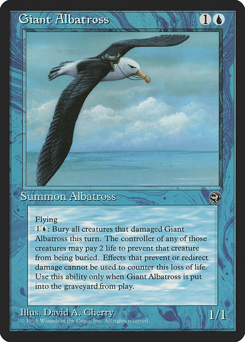 Albatros géant|Giant Albatross