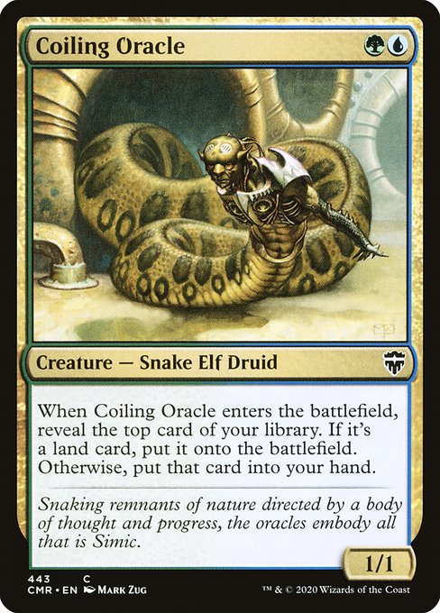 Oracle annelé|Coiling Oracle