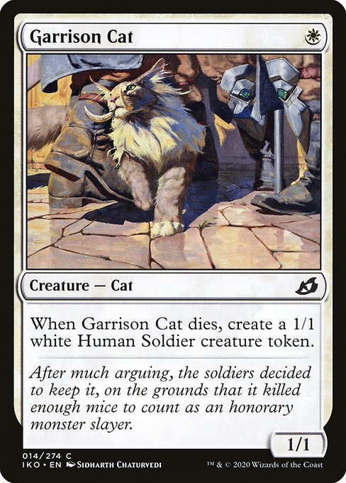 Chat de la garnison|Garrison Cat