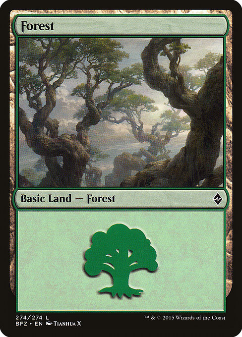 Forest (Battle for Zendikar #274a)