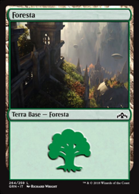 Forest (Guilds of Ravnica #264)