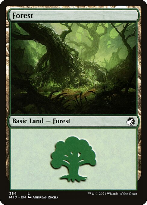 Forest (Innistrad: Midnight Hunt #384)