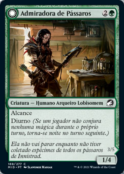 Admiradora de Pássaros