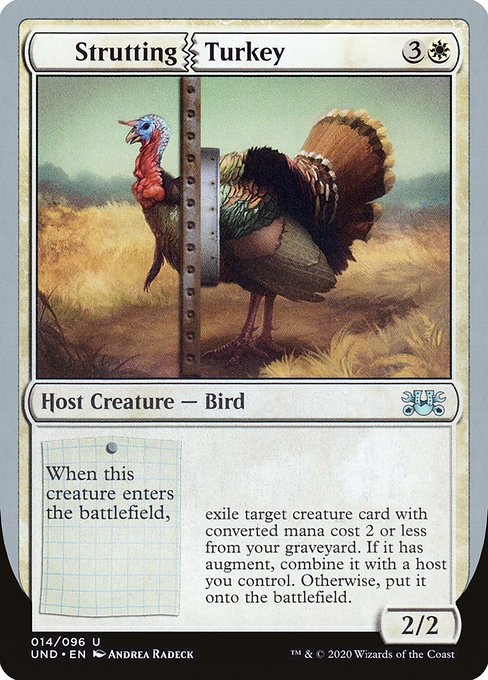 Strutting Turkey (Unsanctioned #14)