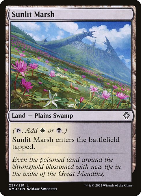 Sunlit Marsh (Dominaria United #257)