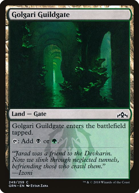 Golgari Guildgate (249)