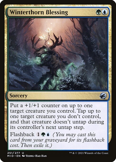 Winterthorn Blessing (Innistrad: Midnight Hunt #251)