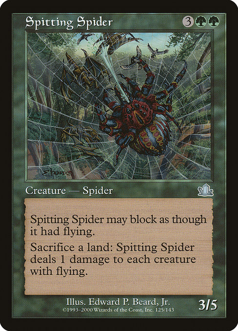 Spitting Spider card image