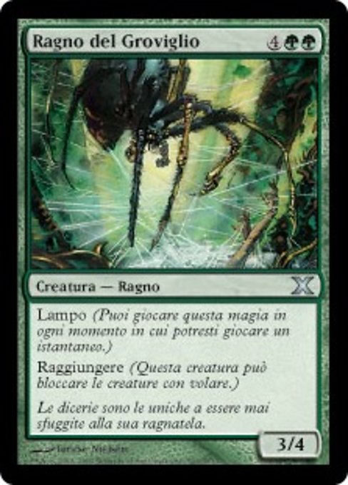 Tangle Spider (Tenth Edition #303)