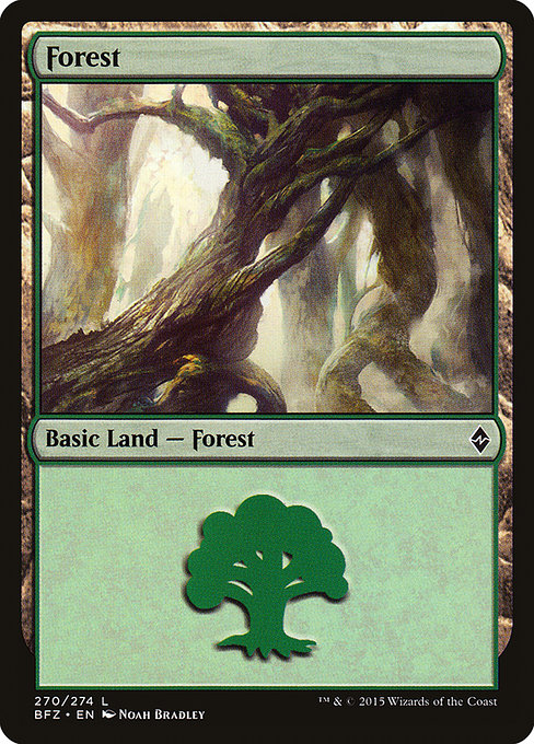 Forest (Battle for Zendikar #270a)