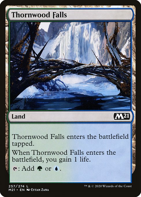 Thornwood Falls (Core Set 2021 #257)