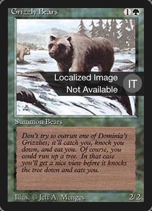 Grizzly Bears (Foreign Black Border #201)