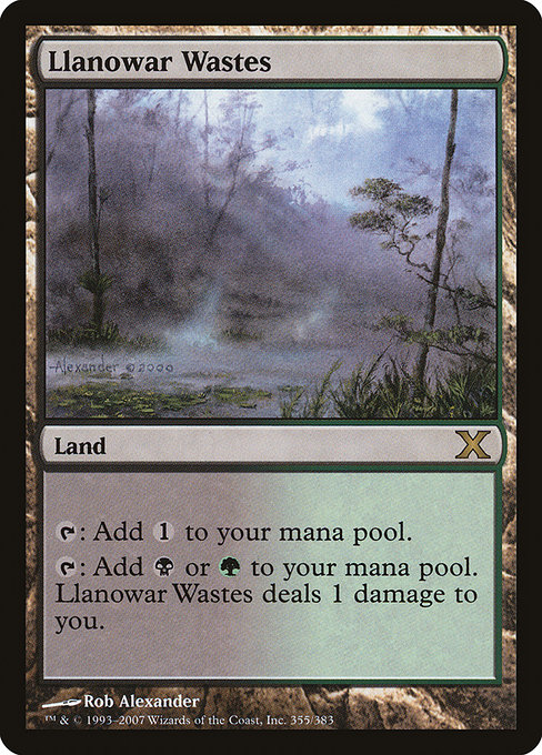 Llanowar Wastes (Tenth Edition #355)