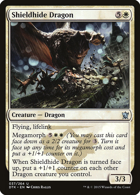 Shieldhide Dragon card image