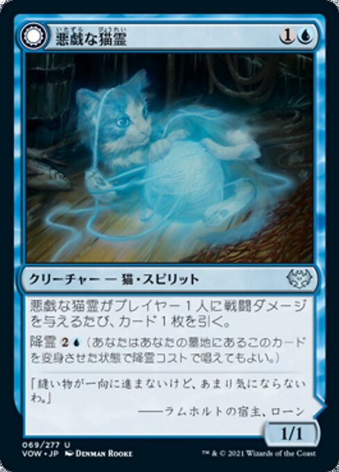 【呪物】眩いオーラを放つ神秘猫※環商品 b0fc4a67-bf9b-4ea8-b084-