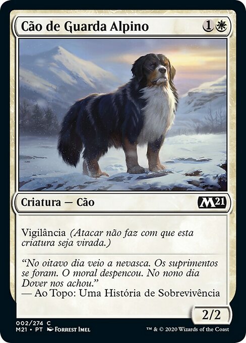 Cão de Guarda Alpino