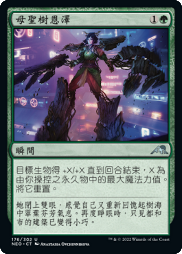 禁賀新年　forbidden new year ホリデー デュエルマスターズ 禁賀新年 forbidden new year ホリデー