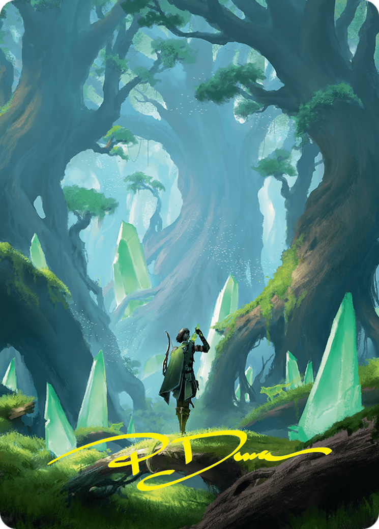 Forest // Forest (front)