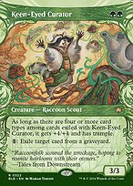 Keen-Eyed Curator