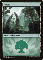 Forest
