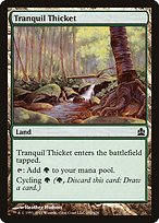 Tranquil Thicket