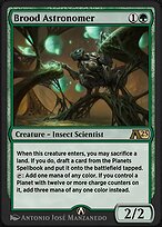 Brood Astronomer
