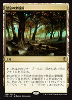 禁忌の果樹園　foil MTG】禁忌の果樹園 Foil - メルカリ