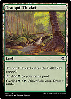 Tranquil Thicket