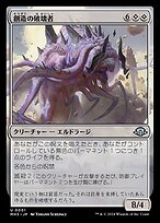 MTG　破滅を囁くもの　日本語版　3枚セット MTG 破滅を囁くもの 日本語版 3枚セット