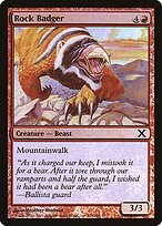 Rock Badger