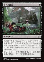 flesh and blood 嵐からの避難　JP 即購入・無言可】嵐からの避難[M]