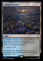 Choked Estuary