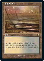 湿地の干潟/Marsh Flats(MH2) Marsh Flats · Modern Horizons 2 (MH2) #248 · Scryfall Magic