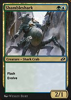 Shambleshark