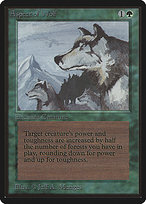 Aspect of Wolf thumbnail