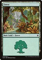 Forest