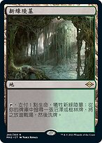 MTG 新緑の地下墓地 Verdant Catacombs 旧枠FOIL 英語版 MTG】 新緑の地下墓地/Verdant Catacombs(英語版) MH2/レア の