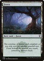 Forest