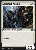 Steadfast Paladin