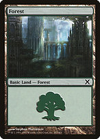 Forest