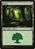 Forest