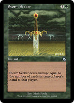 Storm Seeker