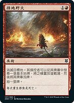 滌地野火(Cleansing Wildfire) · Zendikar Rising (ZNR) #137